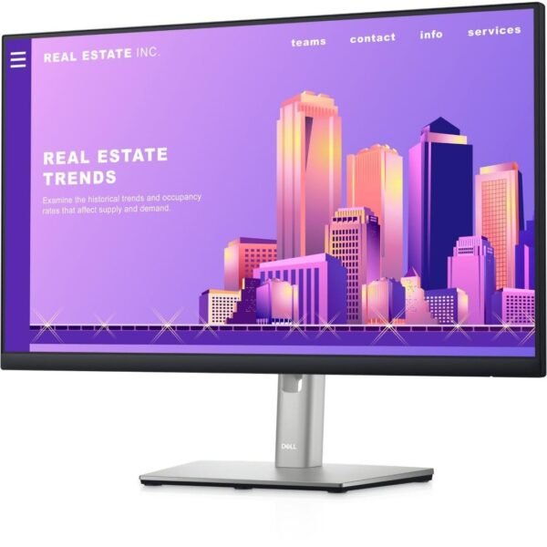 Dell P2422H 24 inch IPS Monitor View 1